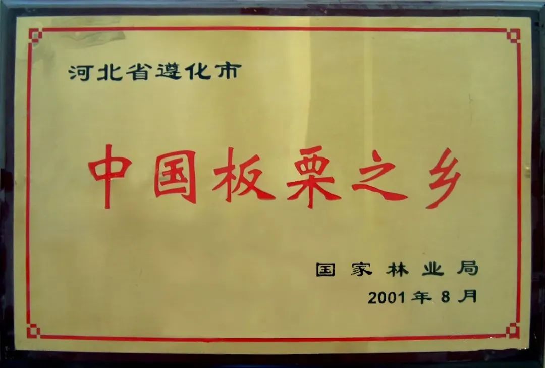 板栗1.jpg