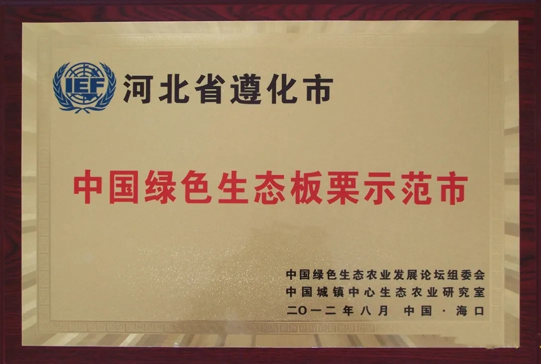 板栗2.jpg