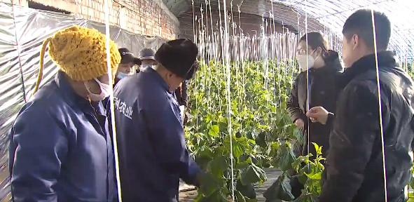 春耕_副本.jpg