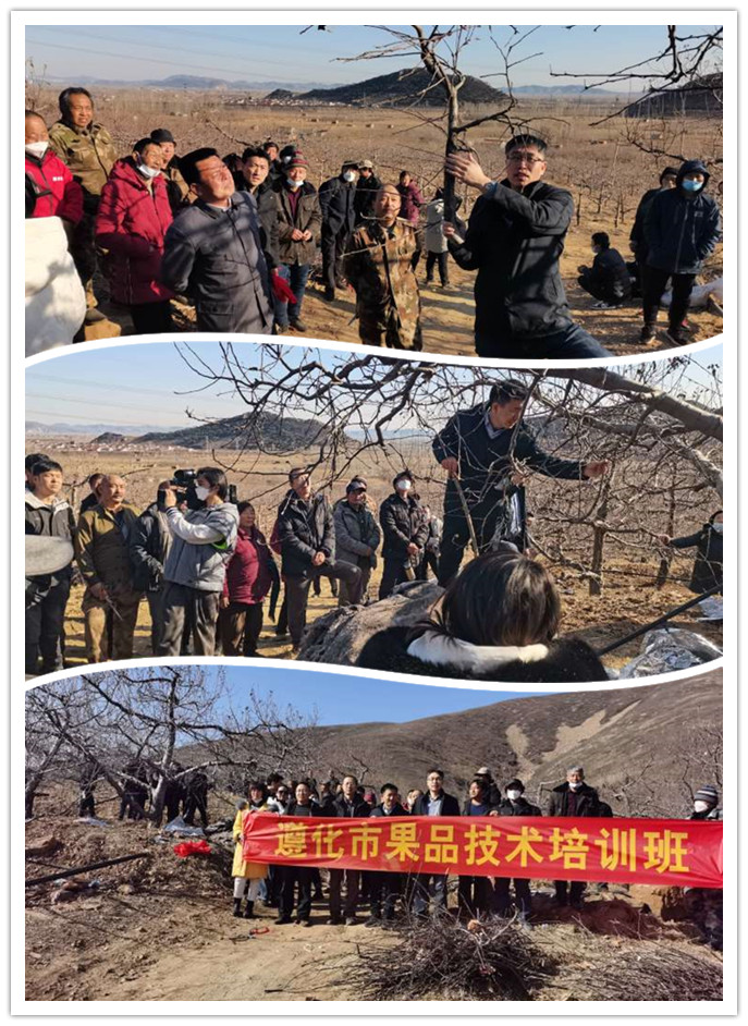 微信图片_20230228102431.jpg