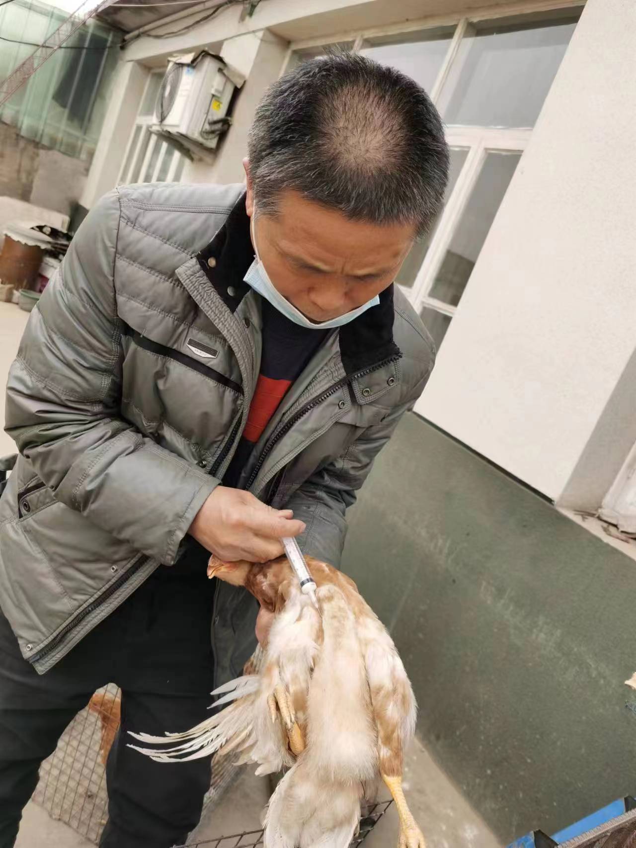 图片5.jpg 图片5.jpg