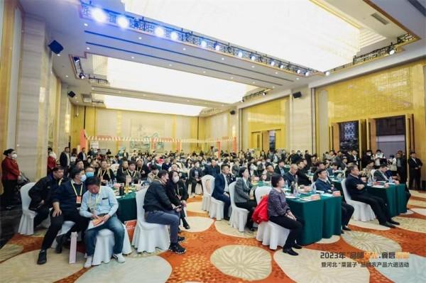 WPS图片(7).jpg