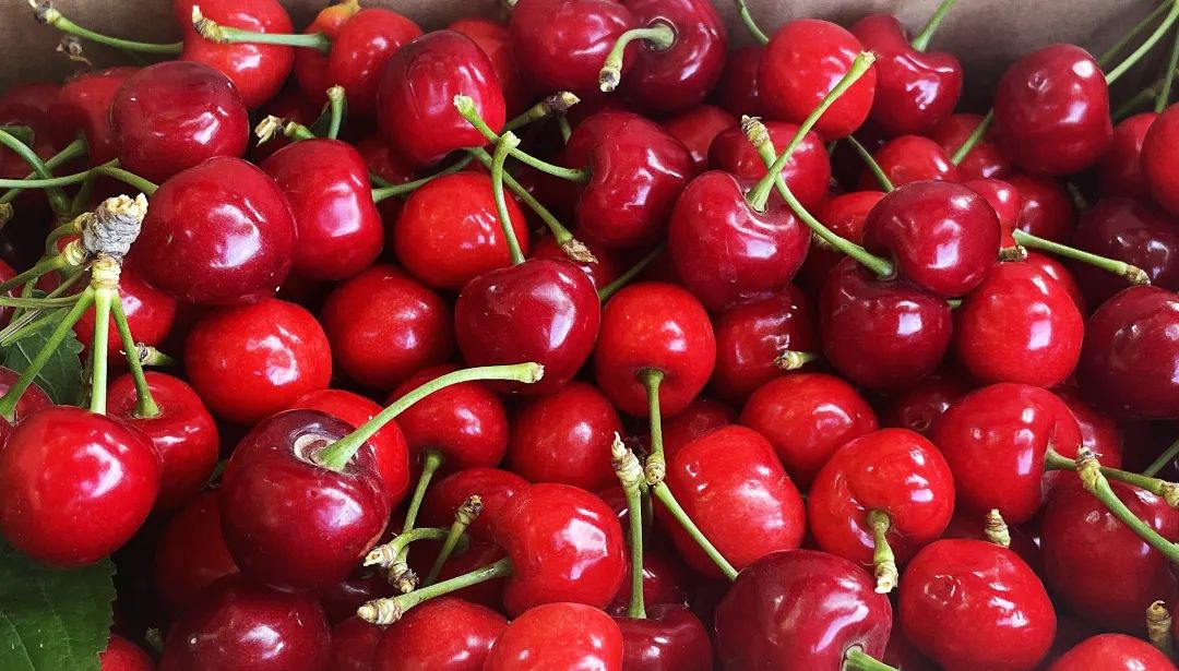 樱桃熟了6.jpg 樱桃熟了6.jpg