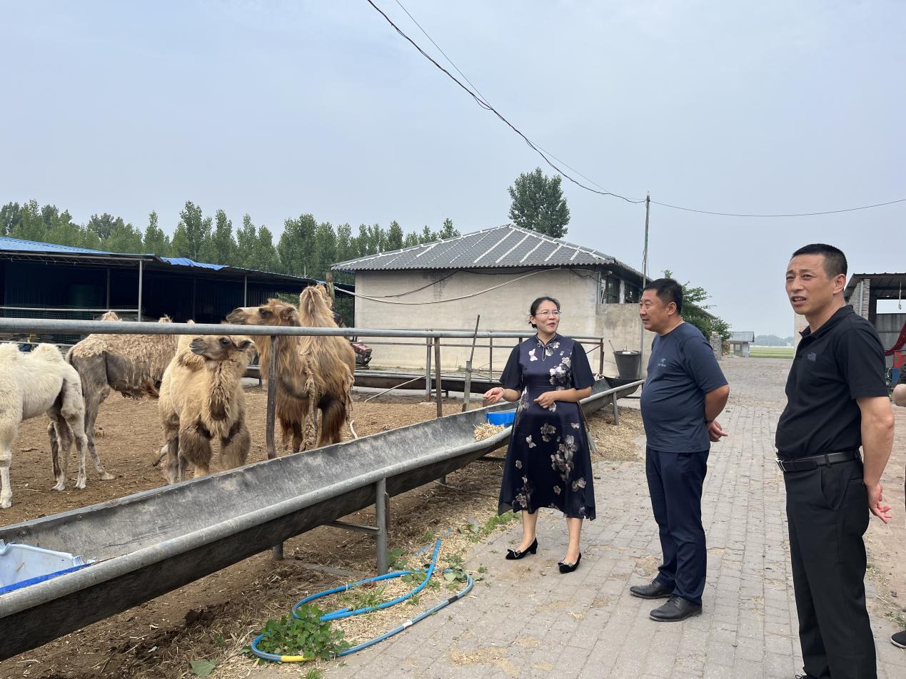 丰南区农业农村局党组书记、局长高建钊调研特色养殖情况(11).jpg