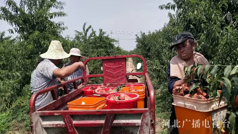 8.31 1.jpg 8.31 1.jpg