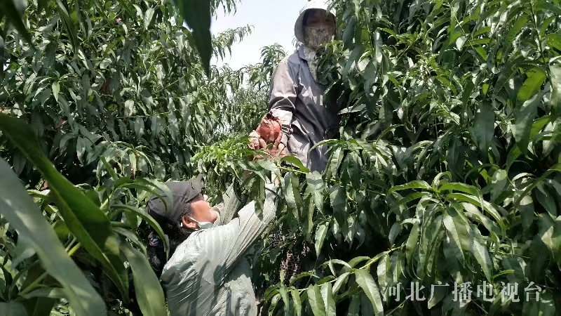 8.31 2.jpg 8.31 2.jpg