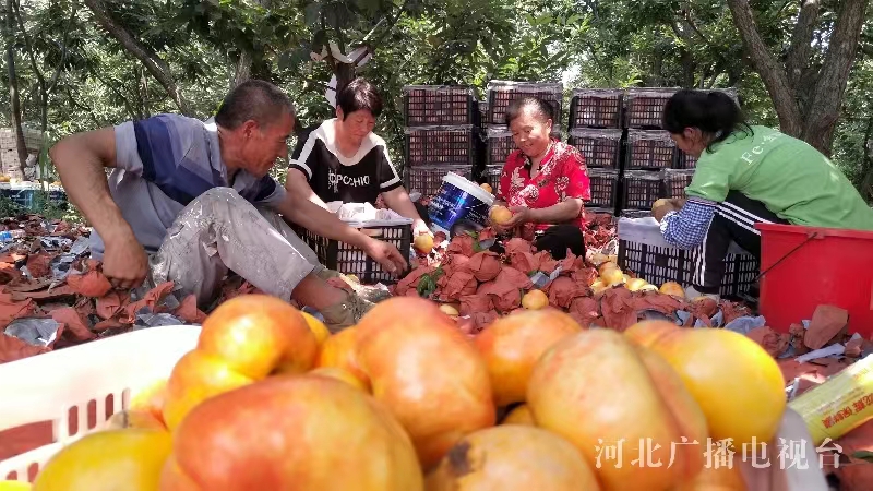 8.31 4.jpg 8.31 4.jpg