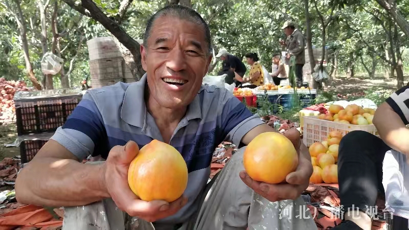 8.31 5.jpg 8.31 5.jpg