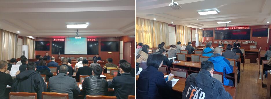 党务干部培训.jpg