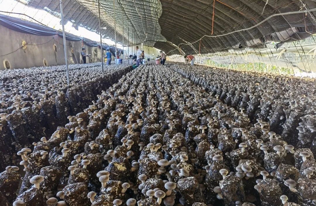 640 (1).jpg 640 (1).jpg