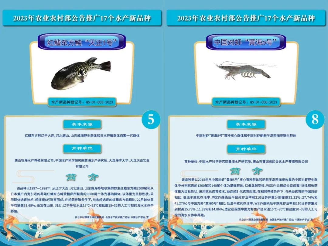 12.jpg 12.jpg