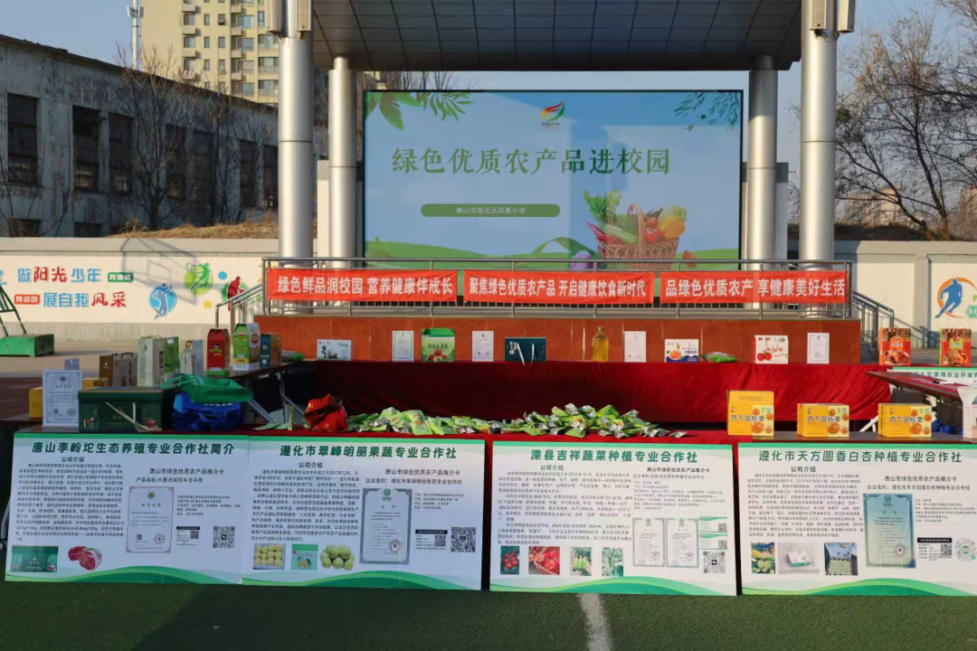 绿色优质农产品进校园 播撒健康种子育新苗——唐山市农业农村局科普活动点亮校园健康生活